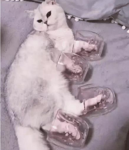 萌萌猫爪杯，有人晒出制作方法，网友：顿时不想买了