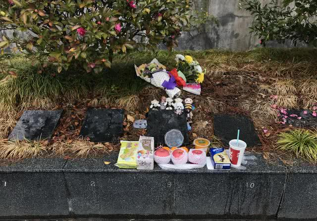 被租客带走的女孩章子欣，永远睡在湖山之中