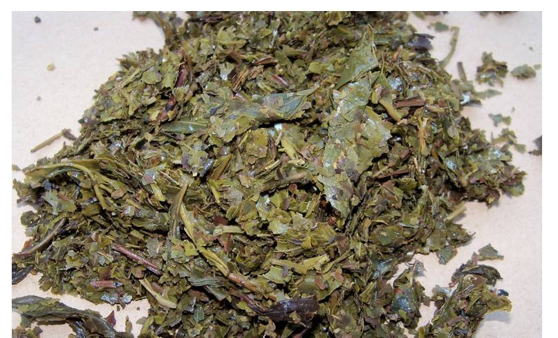 甲醛含量超标危害大？那也不能“急病乱投医”，别用这些除醛误区