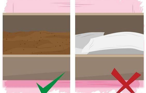 这种小陆龟，看这不起眼，正一点点掏空我的钱包