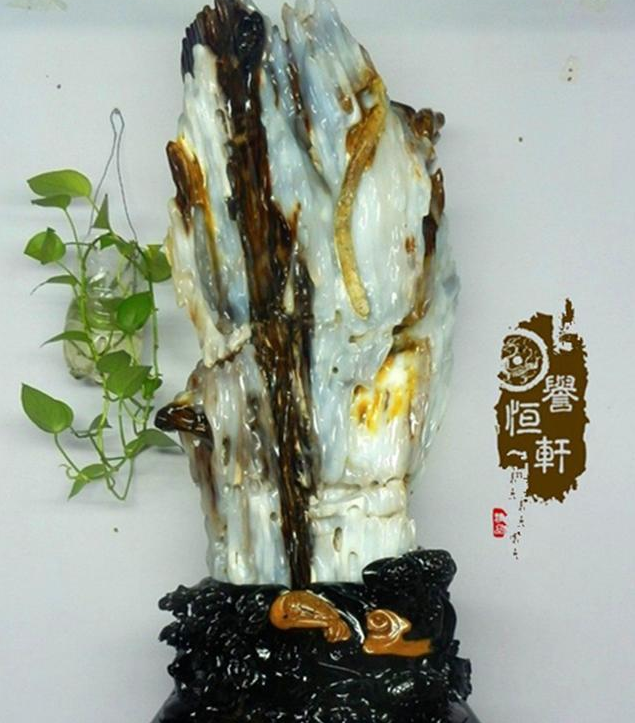 石头中有20厘米长虫子，老板掏10万元买虫子，主人不舍得卖