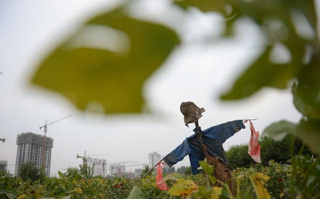 发改委已明确表示，禁止城里人到农村购买宅基地