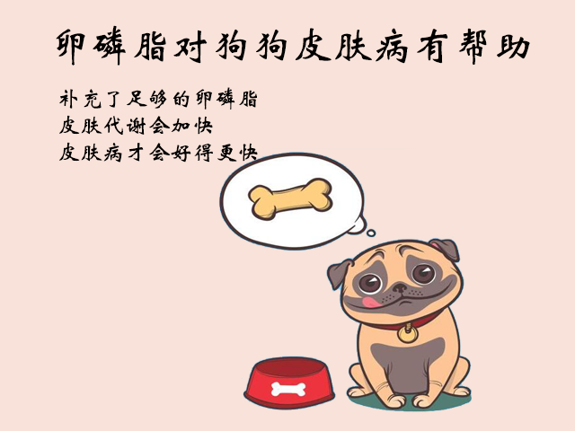 有皮肤病的狗狗，每天一个蛋黄补充卵磷脂，会不会卵磷脂超标？