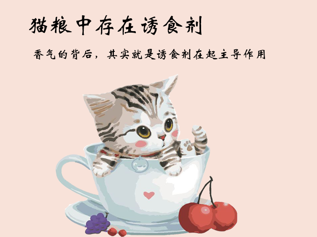 爱宠每日一问：食肉的猫咪，为何爱吃猫粮不吃肉？和诱食剂有关