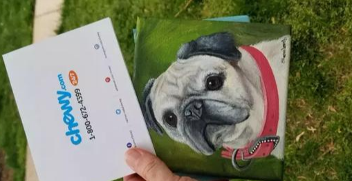 爱犬因病离世，他联系宠物店要求退狗粮，而宠物店的做法，超暖！