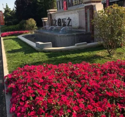 为什么多层住宅越来越受欢迎，知道这些你还会买高层吗？