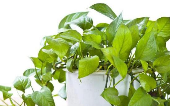 警告：室内的这些情况暗示甲醛超标，待久了会患癌，赶紧检查！