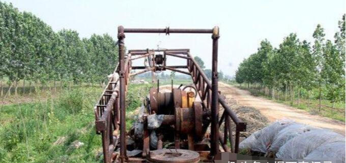 村民挖出“千年怪物”，专家前来查看，得出结论后村民乐开了花！