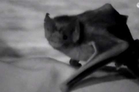 女子早上起来，发现腿脚发麻还有血迹，查看监控后赶去医院啦