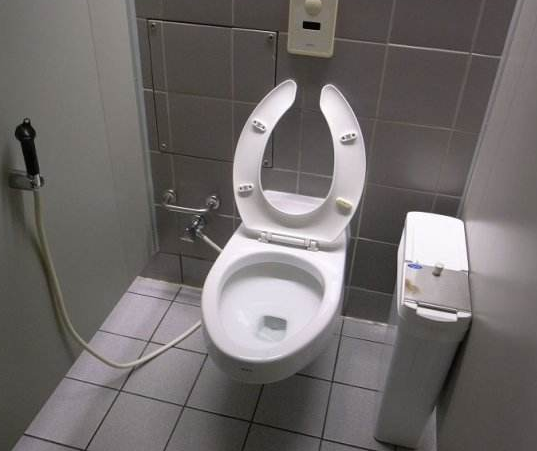 用完的卫生纸，扔马桶冲走还是扔废纸篓？马桶整天堵是有原因的