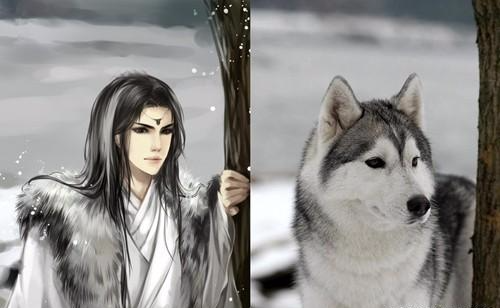 当哈士奇“拟人”后，“蓝瞳”美如江山画，“异瞳”回眸倾国倾城