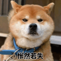大鱼用户1557289053401363