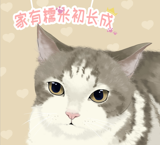 本名不火，外号火的加菲猫，其实人家叫“异国短毛猫”的啦