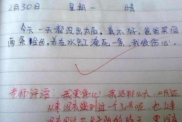 作文|“我家金鱼淹死了”,小学生作文火了,老师无奈:我比你还伤心
