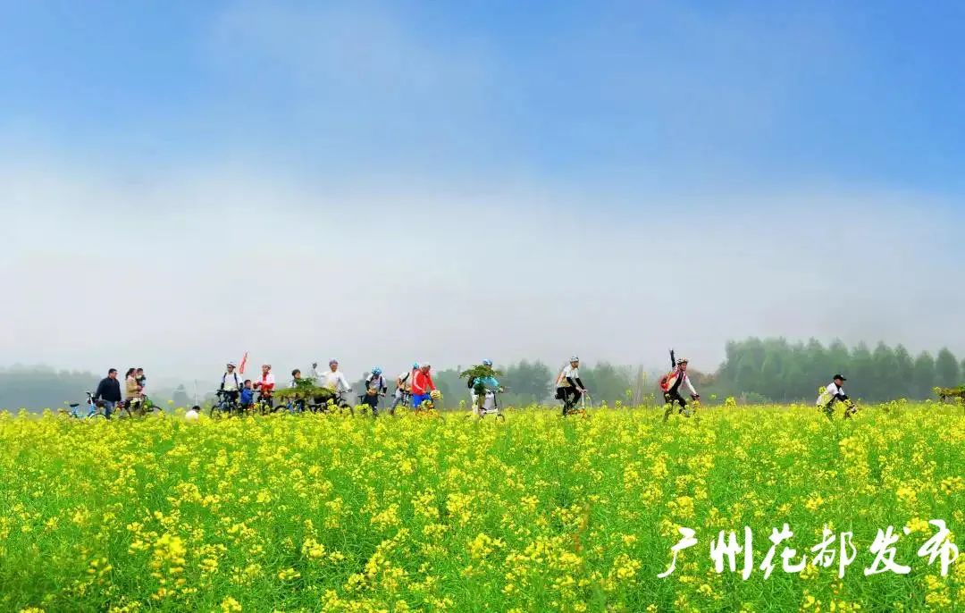 花都|花都，起飞！