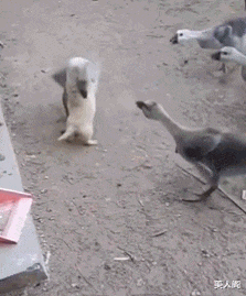 美人阁 哥们忍着吧，谁让你没车呢？哈哈