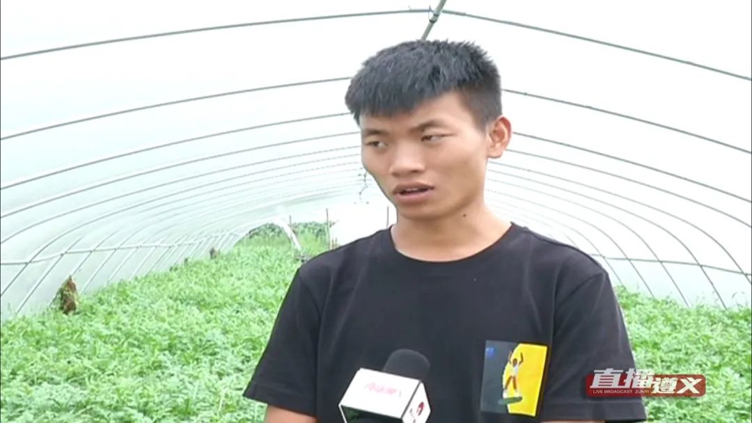贵州|放弃10000月薪，贵州小伙回家乡种西瓜，如今收益百万