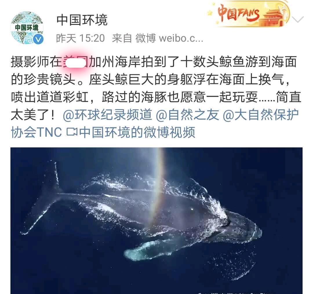 [肖战]肖战最新手绘图寓意已出，原来一切早有预告，就在《中国环境》中