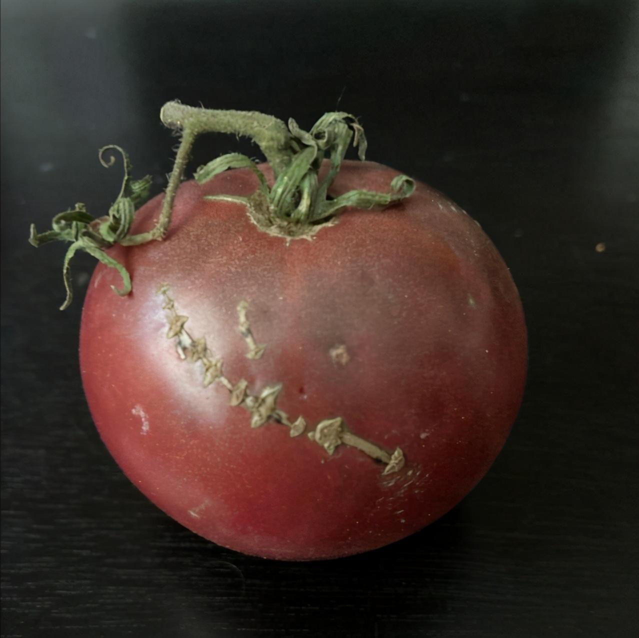 番茄|看到这些“放飞自我”的食物，好想给它点个赞！