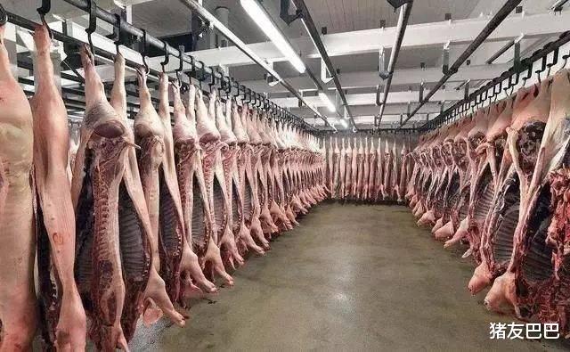 1月15日，多地豬價走跌，3萬噸凍肉入市，豬價要跌回“白菜價”？-圖4