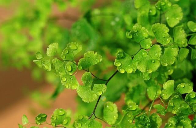 【属兔】未来3个月运呈吉兆,3生肖鸿运附身,财禄喜汇聚,梦想能实现!