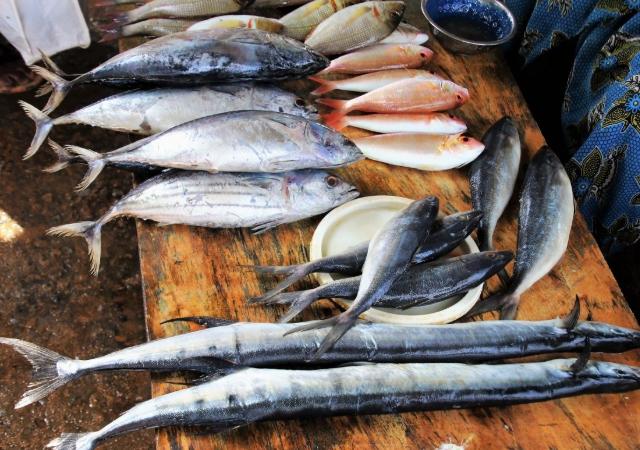 海鱼|5种公认最好吃的海鱼，识货的抢着买，连老板都会给自己留一两条