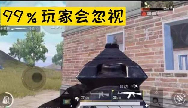 #步枪#和平精英：一直被玩家低估的枪，实力却强过所有步枪，用的人极少