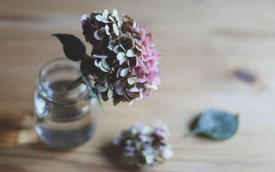 星座爱情观|爱情中，有几个星座就想要占有你，满满的控制欲