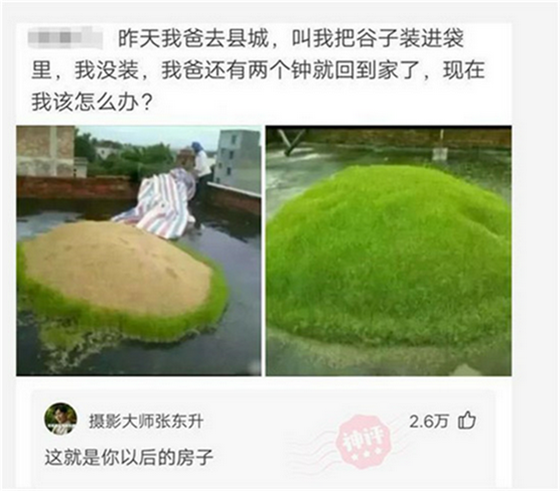 |“捡了一部手机，女主人好像是个富婆，接下来该怎么办？”哈哈哈