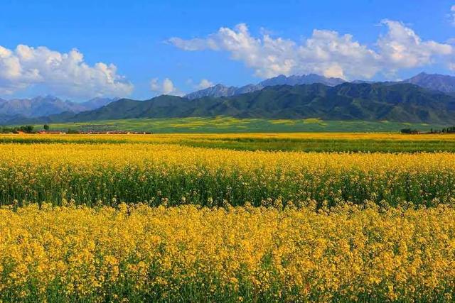 「甘肃」走完这个省，你就相当于看遍了大半个中国