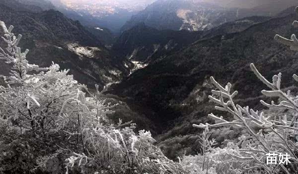 重庆|重庆最高峰：原始森林广阔无边，游人都来赏雪景观云海