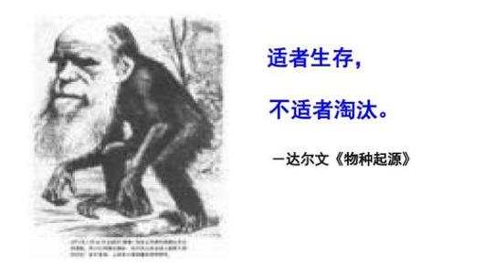 象龟|2020年地球怎么了？已灭绝的物种在不断出现，难道是物种在轮回？