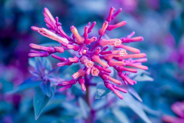 生肖|下周开始能有好运缠身,贵人指点,生意顺顺利利,赚钱增多的生肖