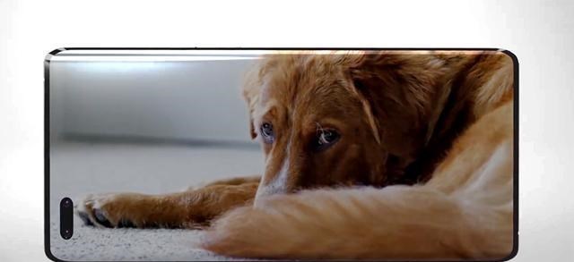 麒麟9000|华为亮剑!华为P50Pro提前确认,居中双孔屏+麒麟9000,期待吗?