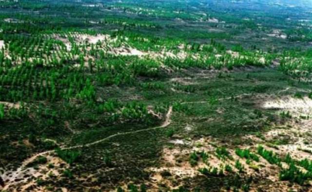 阿里巴巴|外媒搞事嘲讽马云：阿里巴巴是中国企业？看马云老爹是怎么怼的！