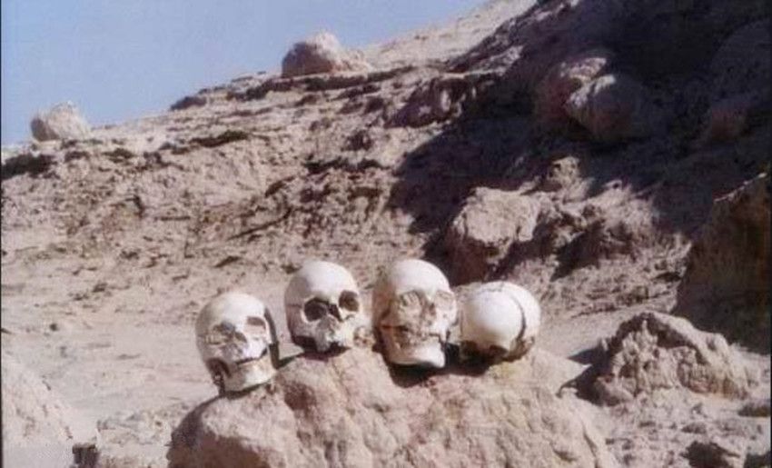 |上世纪，罗布泊出现无法用地球科学解释的不明生物，彭加木从此失踪