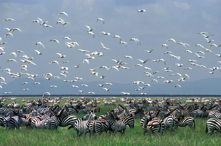 「科学家」科学家疑似发现“宇宙墙”，这堵墙让人不安，难道我们只是试验品？