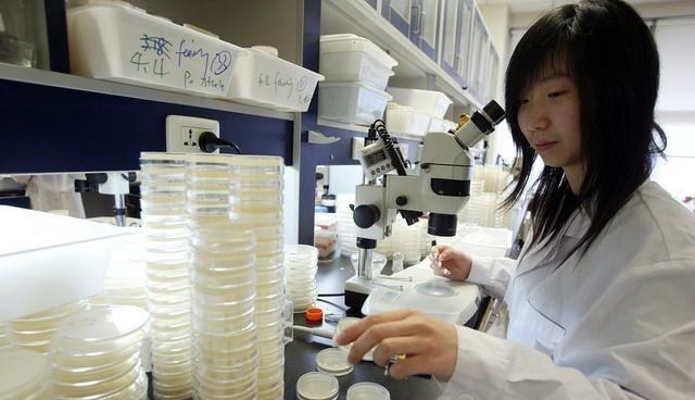 招聘|清华北大毕业生扎堆街道办，任何理由也无法掩盖一个不堪的现实