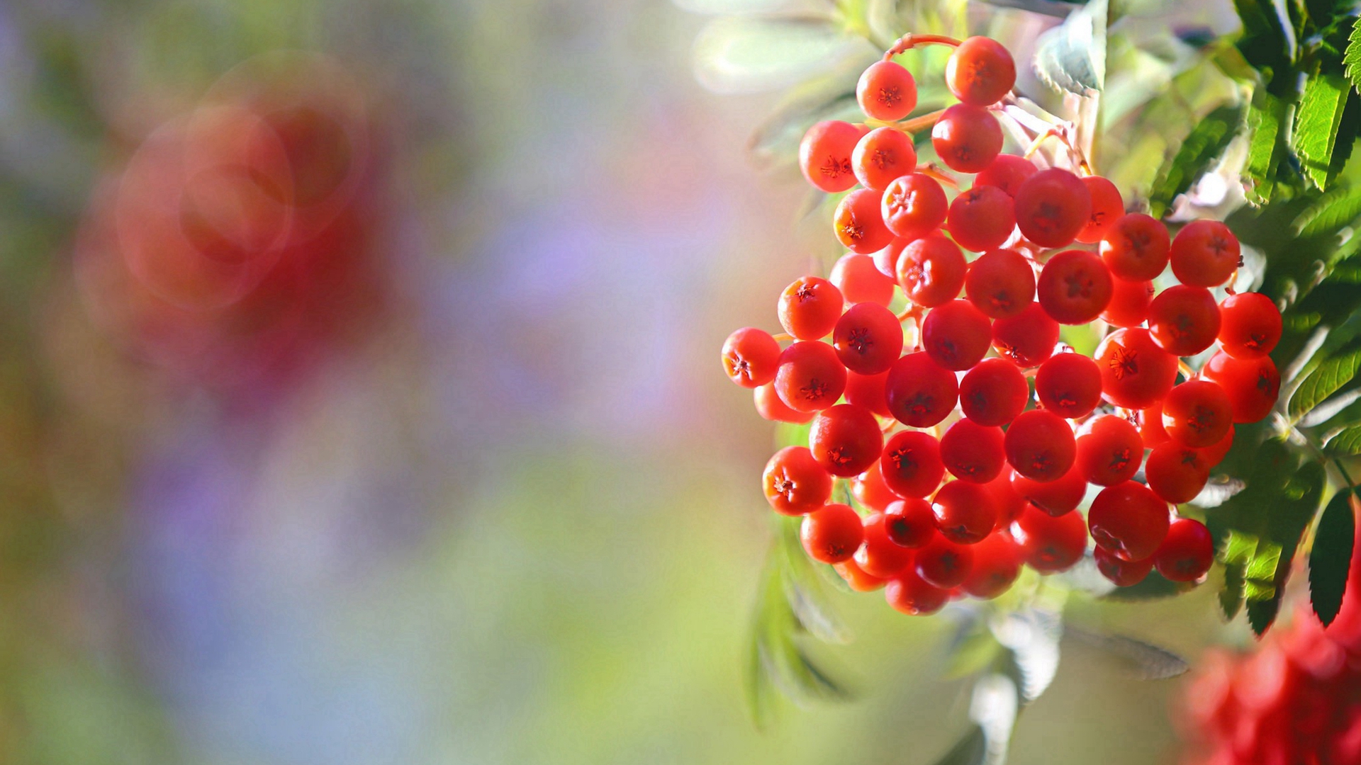 「运势」生肖猪：在5月下旬，不再纠缠，分手快乐，各自安好！