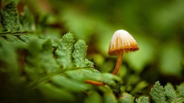 [摩羯座]先热后冷的星座男，追到手就不再珍惜