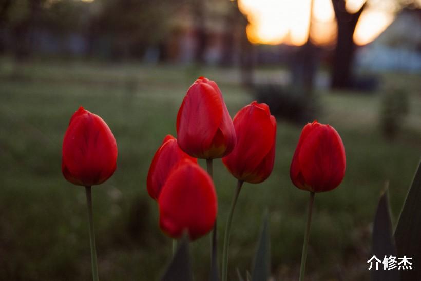 『生肖』恭喜4大生肖，月老牵姻缘线，巧遇命中有缘人，下半年注定要脱单
