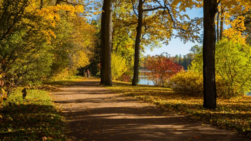 【天蝎座】未来半年运势爆棚，福气临门，工作中顺心如意，步步高升的四属相