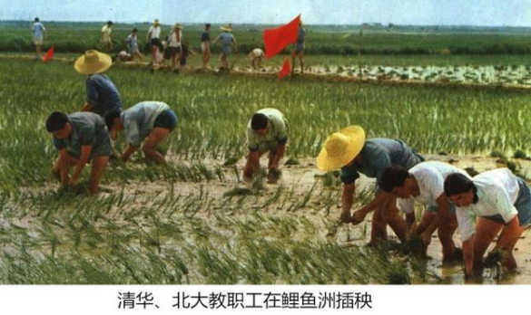 高级工程师|当年清华北大迁移到江西，为何江西没能留住这俩大学？后来怎么样