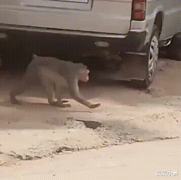 |“去钓鱼不知道被什么咬了一口,这应该问题不大叭?”网友回复我要凉哈哈哈哈