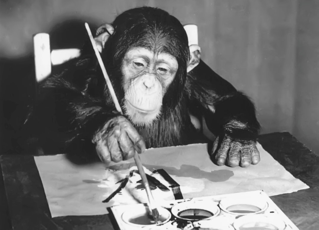 黑猩猩|一只上过大学的猩猩,试图成为人类,但却被囚禁30年!