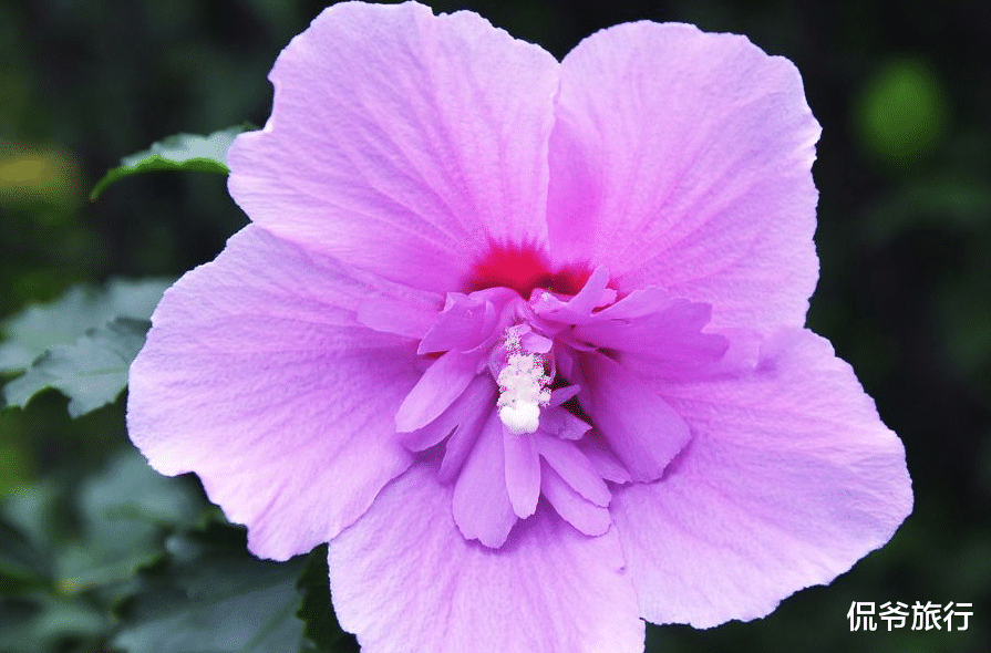 吉星@最近十天，偏财运旺盛，能大发横财的3属相