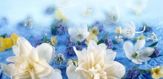 射手座|11月未来10天，三星座，财神最投缘，财运全面爆发，要暴富！