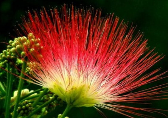 「运势」下周开始，迎人生春天，4属相事业一帆风顺，喜事连连，万事大吉