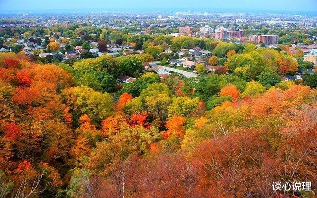 金牛座|2周后，旧情难舍，心软示弱，3星座回眸旧爱，携手重燃爱火