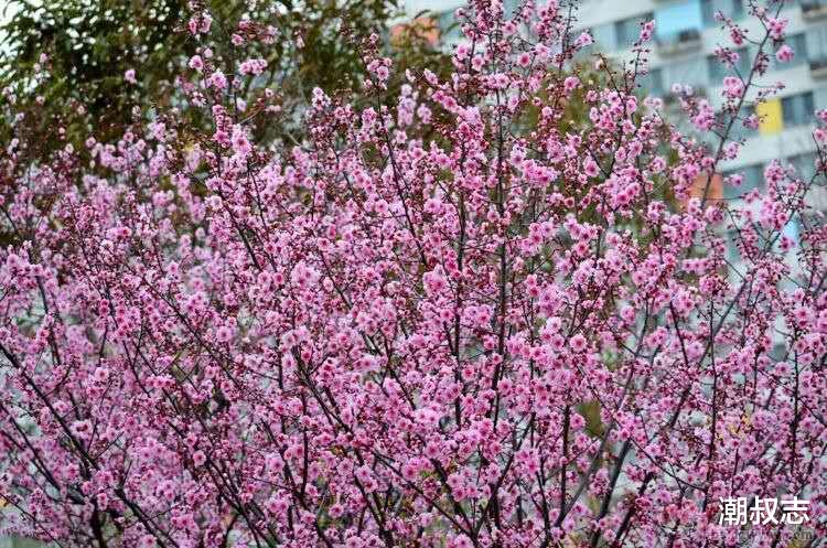 生肖|最近半年偏财运旺，轻松赚大钱的3大生肖